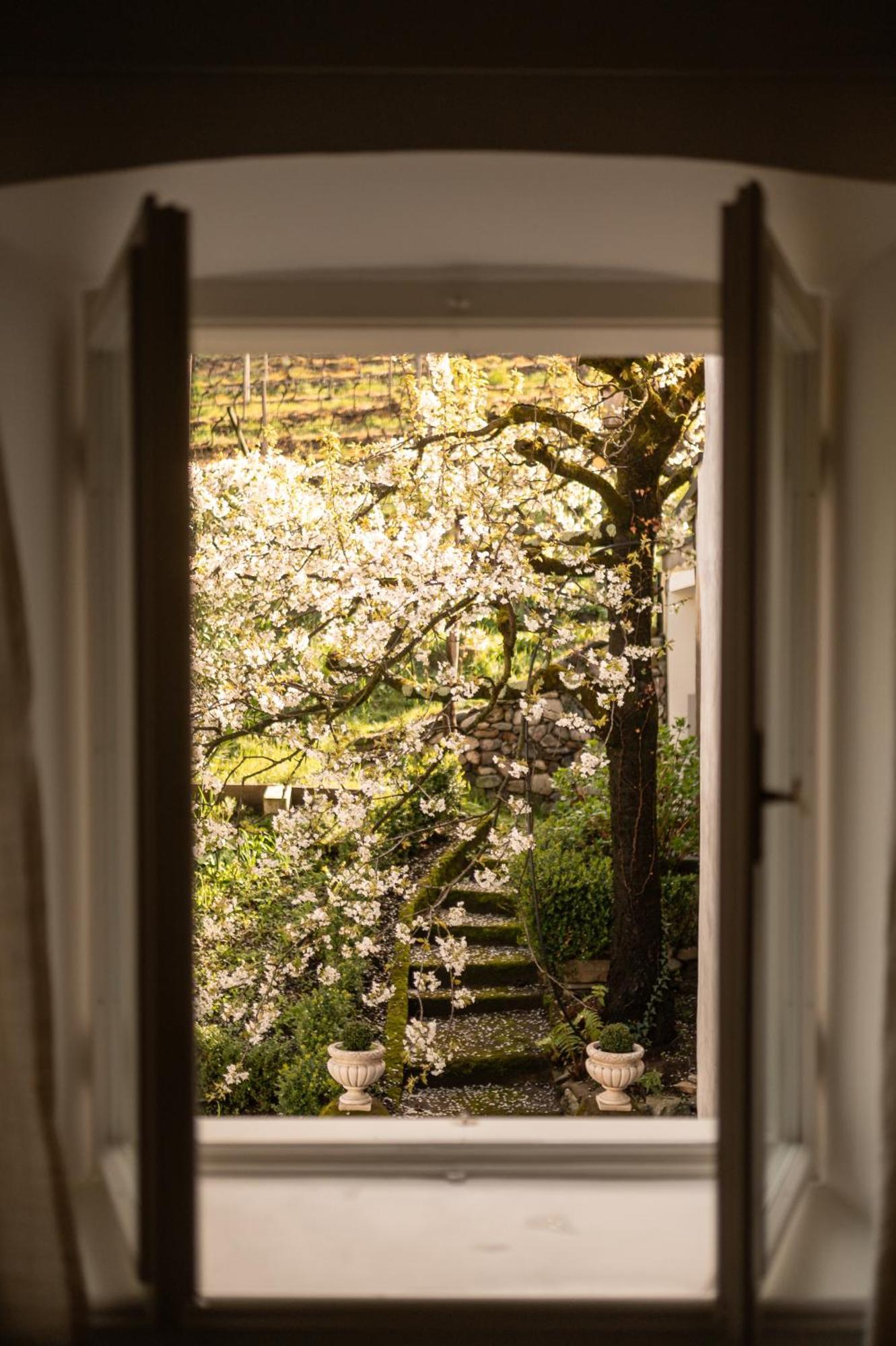 Ottmanngut Suite And Breakfast Merano Luaran gambar